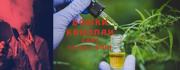 шишки Горнозаводск
