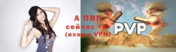 шишки Горнозаводск