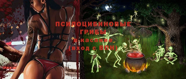 шишки Горнозаводск