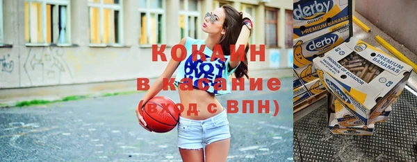 шишки Горнозаводск