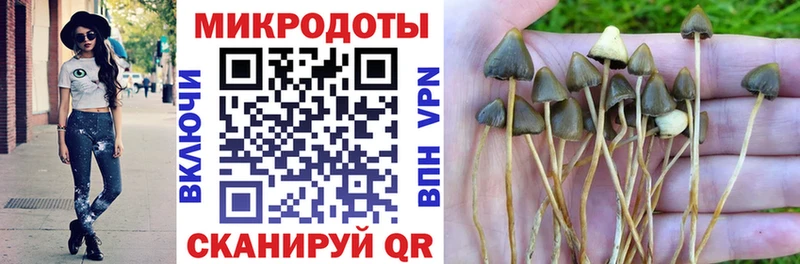 цены   Облучье  мега онион  Галлюциногенные грибы MAGIC MUSHROOMS 